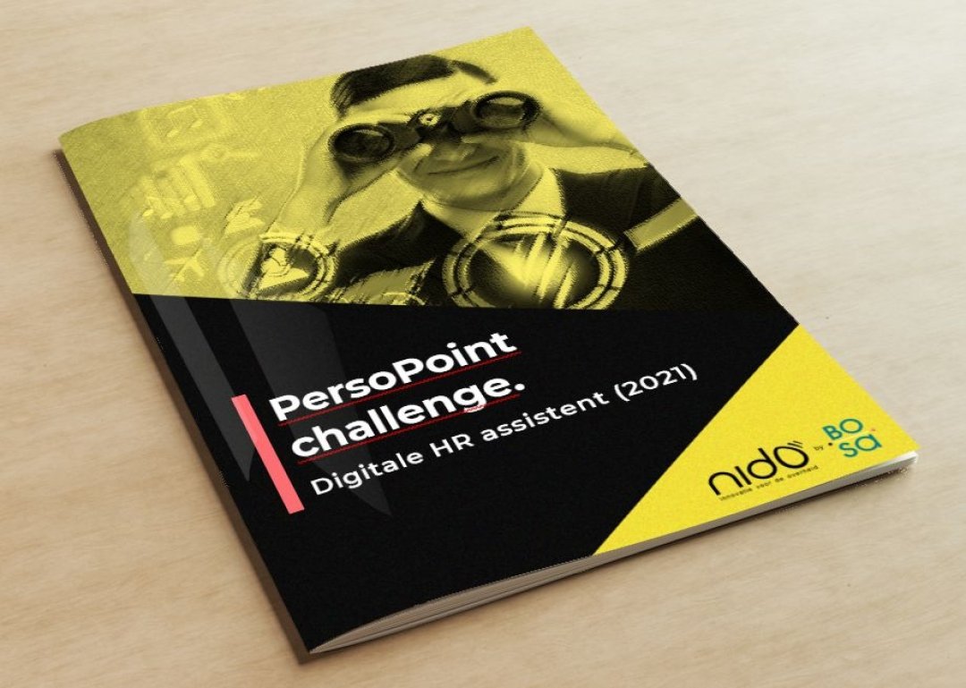 PersoPoint challenge : Rapport des aperçus • Nido